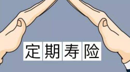 定期壽險適合什么人？