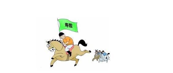 壽險(xiǎn)有什么作用？提前配置壽險(xiǎn)有必要嗎