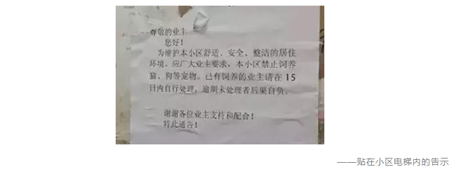 為什么不買保險就不讓養(yǎng)狗？