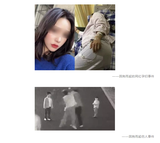 為什么不買保險就不讓養(yǎng)狗？