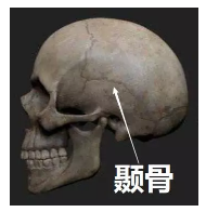 發(fā)生車(chē)禍如何快速理賠？