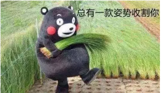 如何避免保單過時？